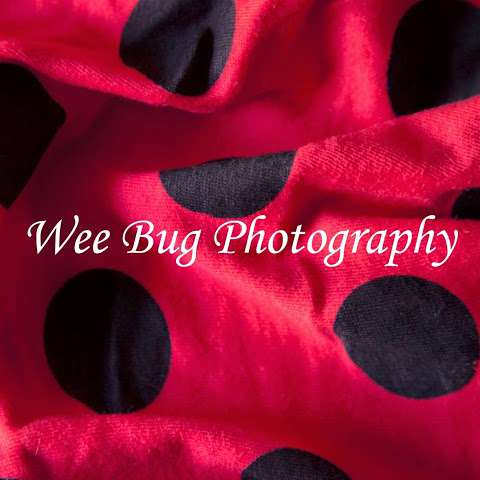 Wee Bug Photography
